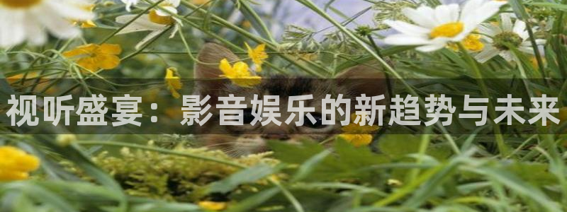 蓝狮在线彩票官网