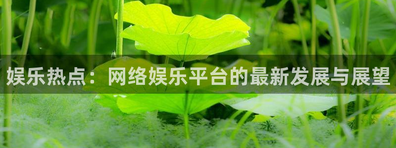 蓝狮在线注册地址