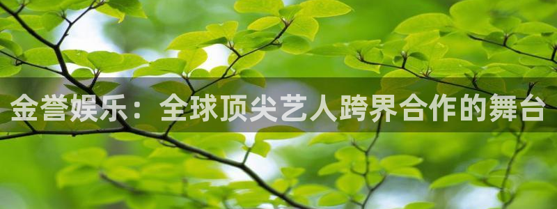 蓝狮在线登录注册账号