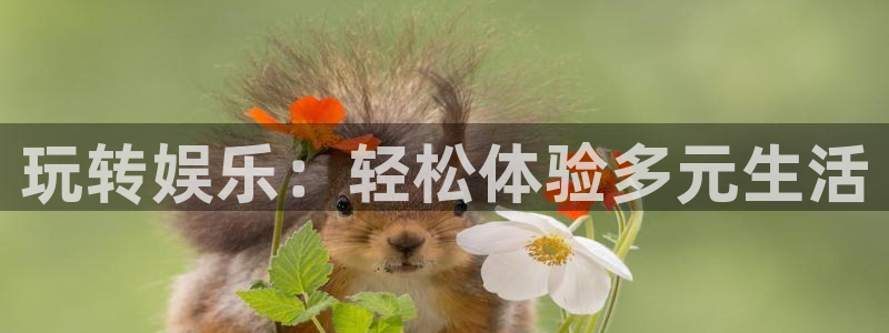 蓝狮在线登录注册账号